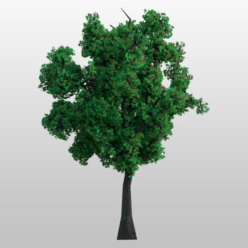 10 Samples Tree