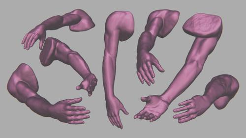 Arm sculpt study