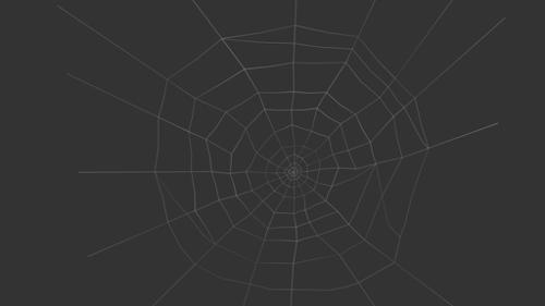 Spider Web