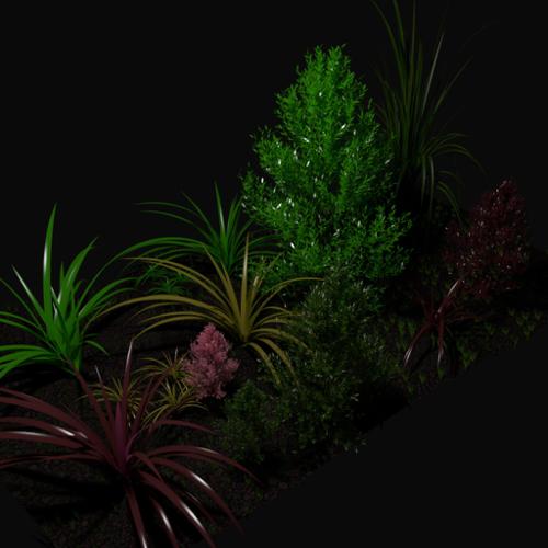 plants