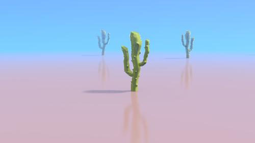 Cactus