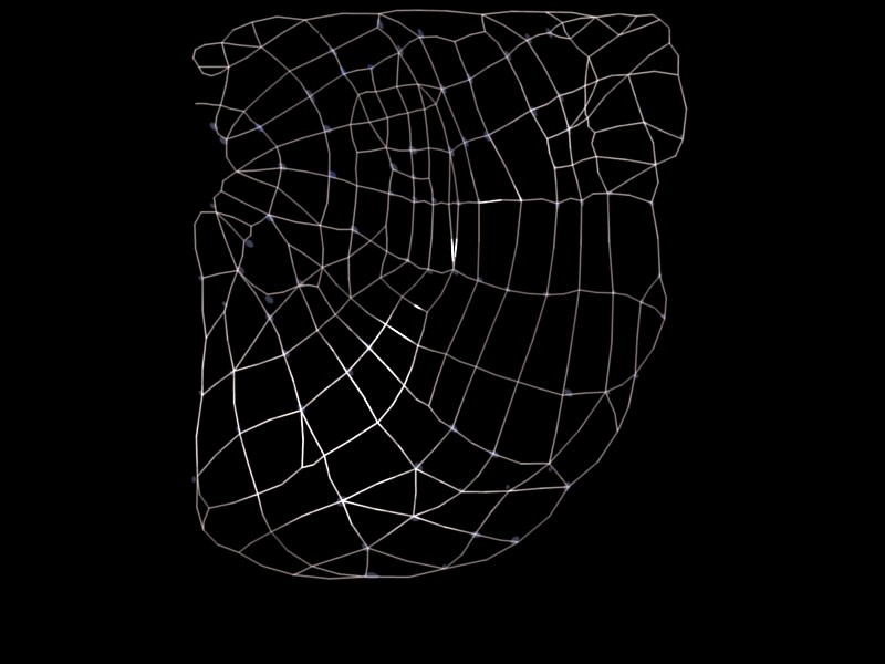 SpiderWeb 90degrees
