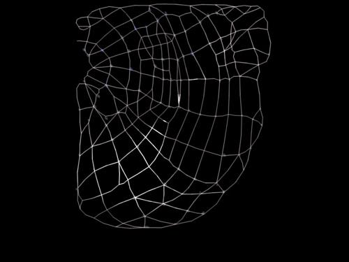 SpiderWeb 90degrees