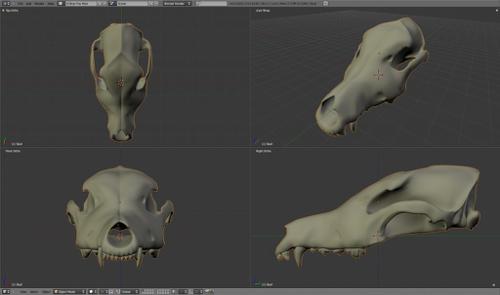 Dog Skull