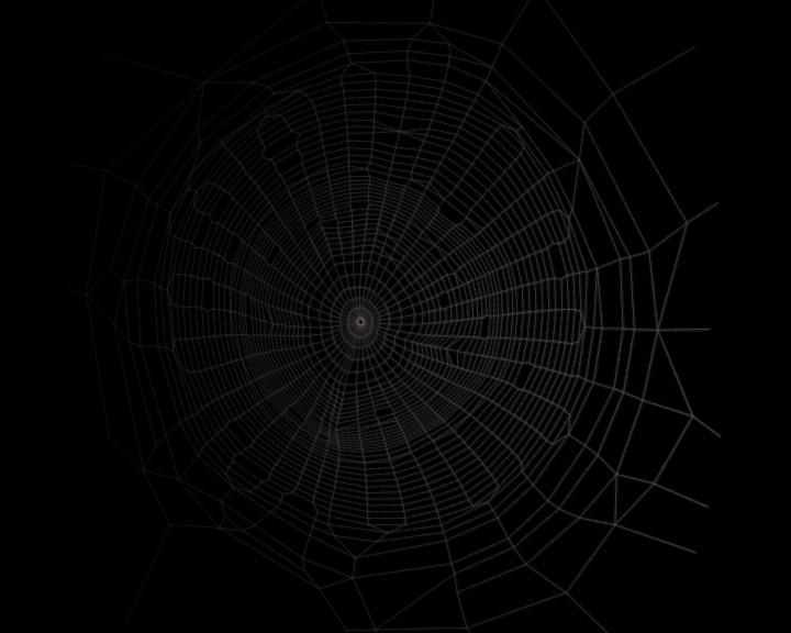 zeauro nature spiderweb