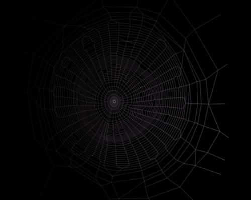 zeauro nature spiderweb