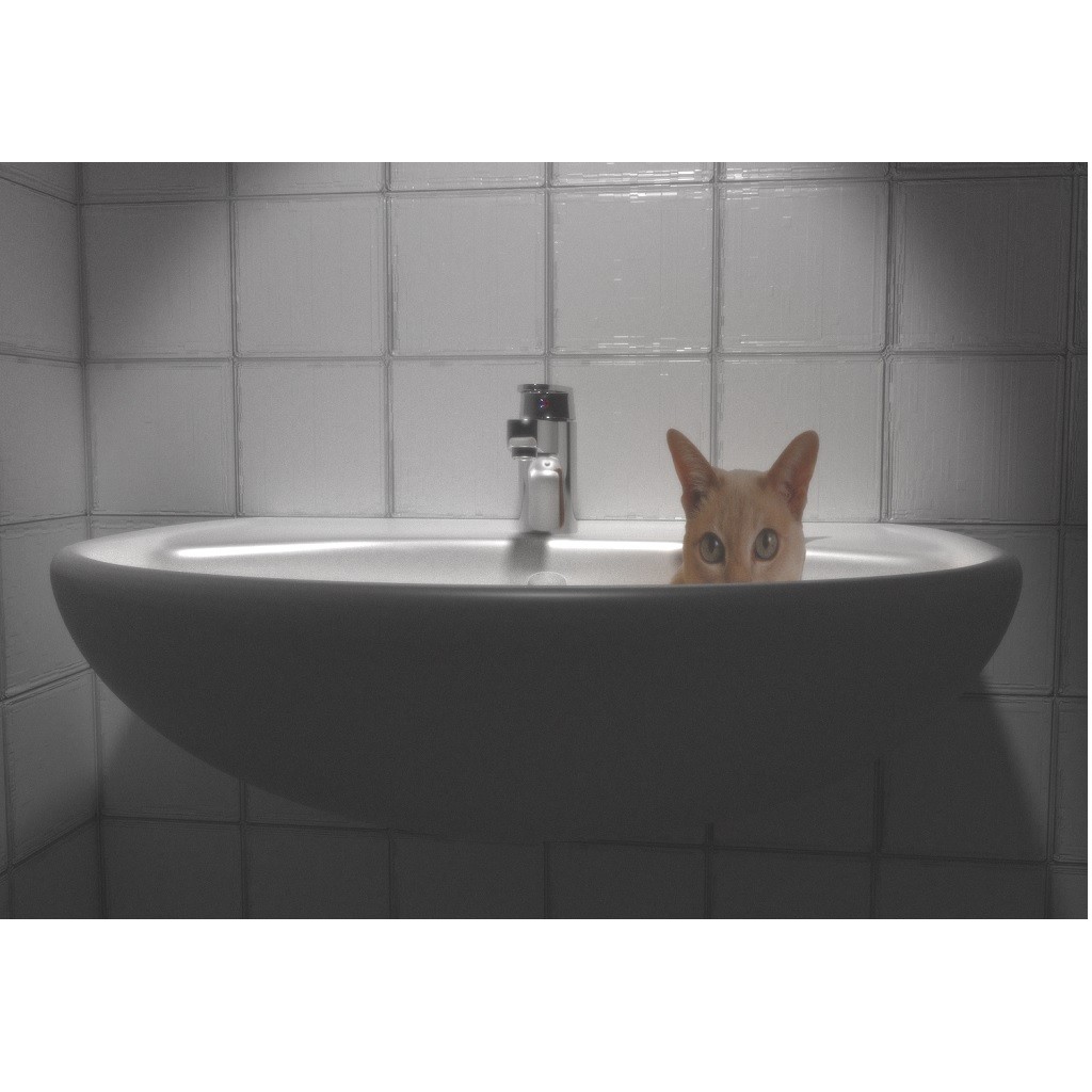 The Cat in a Basin