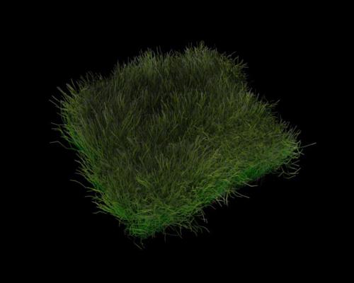 GiGaGonzo Nature Healthygrass