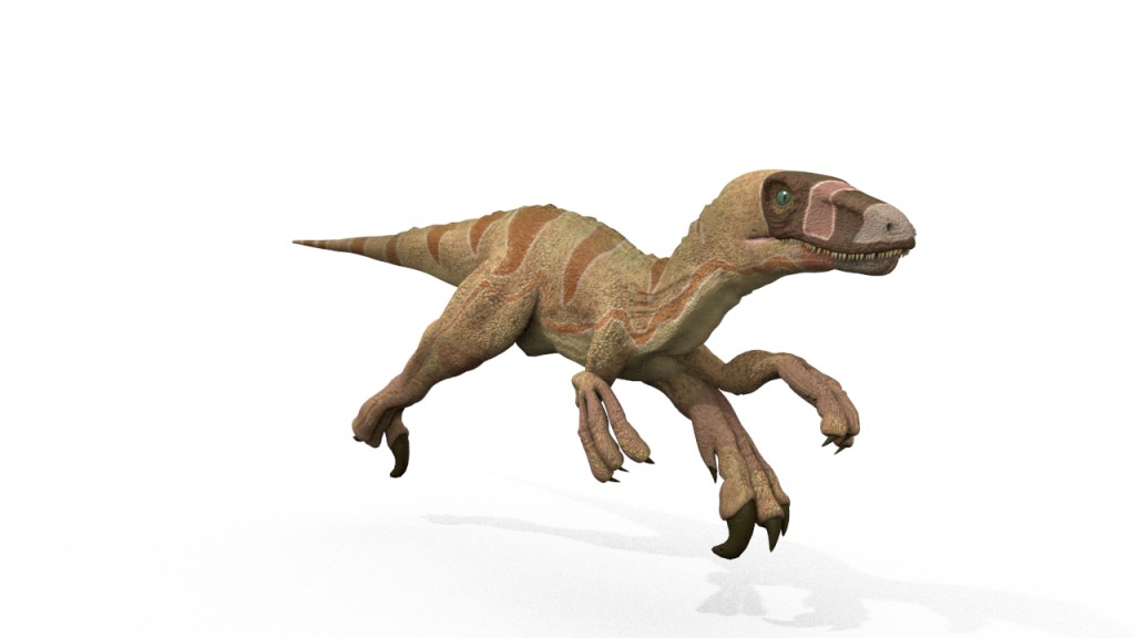 Dromaeosaur