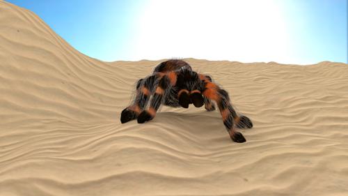 Bird eater spider/tarantula with rig