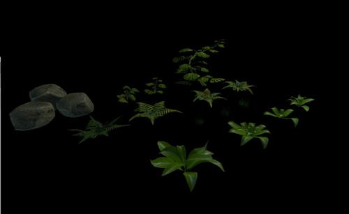Plants and Stones
