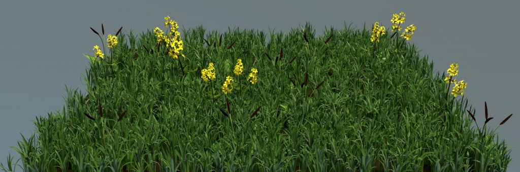 Grass and Assortment of Wild Flowers Particle Systems