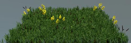 Grass and Assortment of Wild Flowers Particle Systems