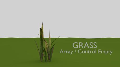 Grass