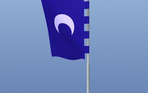 Vertical Flag pole