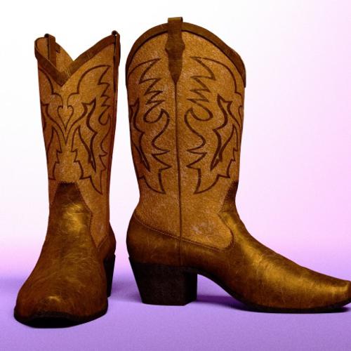 Cowboy Boots