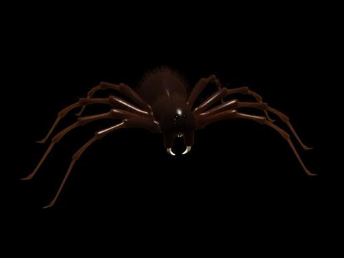 simon creature spider