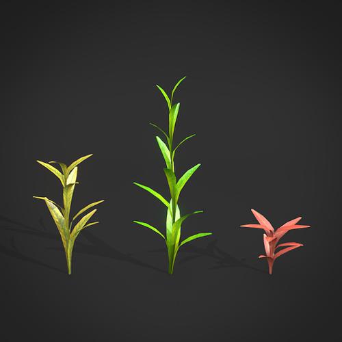 Plants