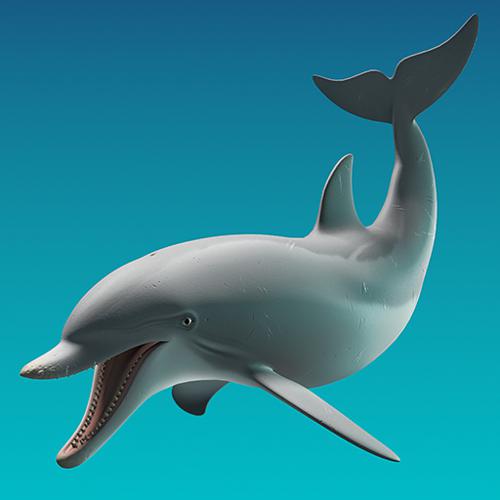 Dolphin