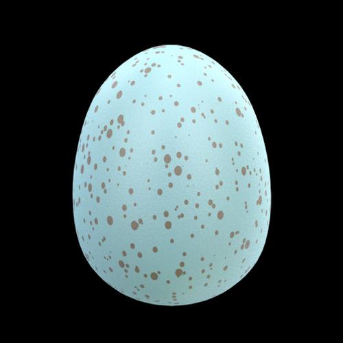 Robin's Egg