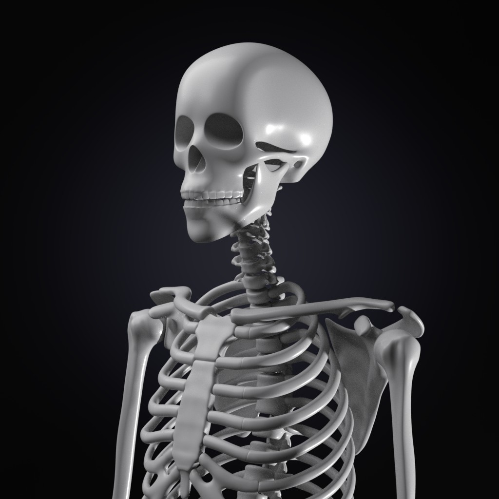 Skeleton