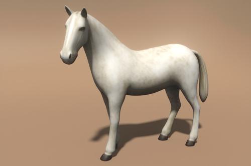 White horse