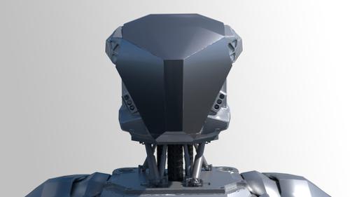 Robotic head