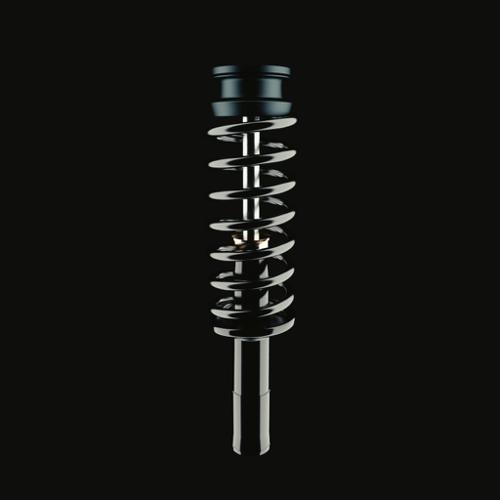 Car spring