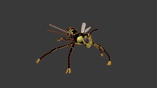 A Wasp (Yellow Jacket)