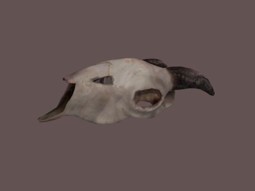 Goat Skull