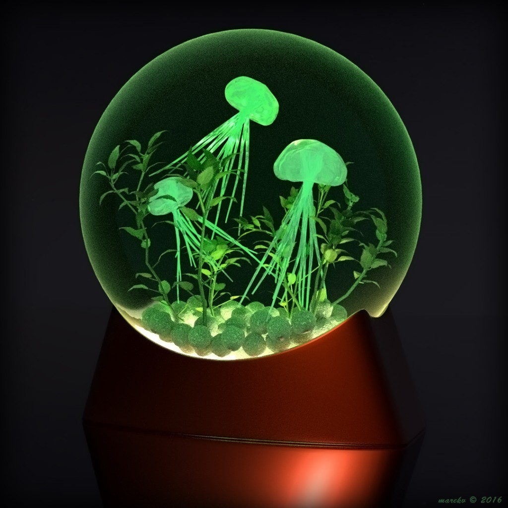Jellyfish Tank