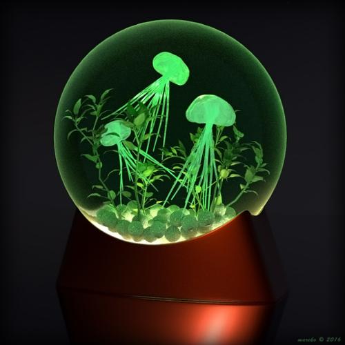 Jellyfish Tank