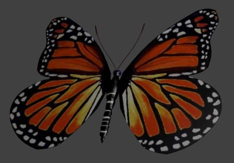 Red Butterfly