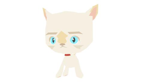 Whisker the white kitty