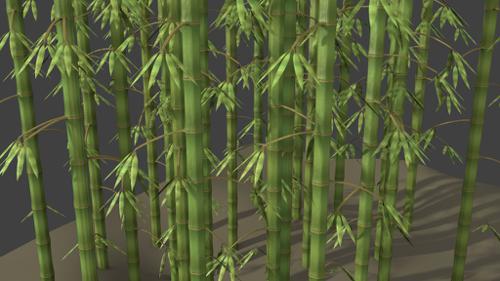 Nature bamboo rc1