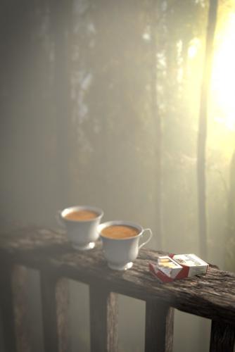 "Coffee in the Woods"