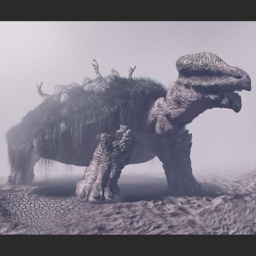 Giant tortoise