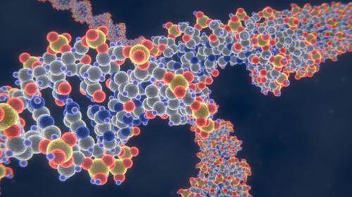 DNA Strand