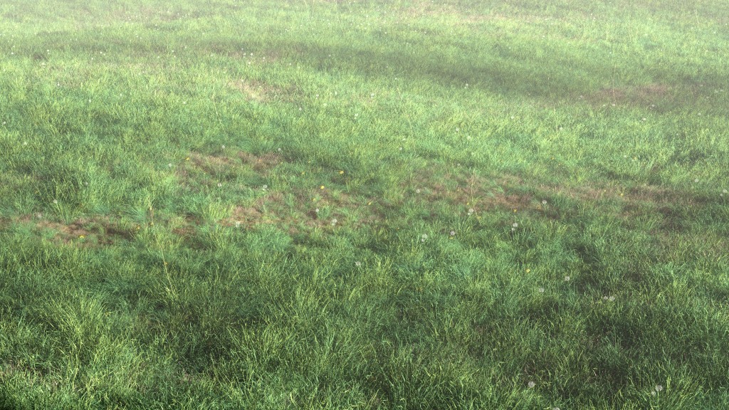 Realistic Grass Field