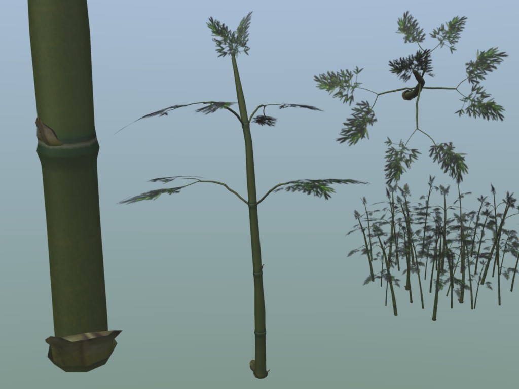 Nature bamboo stalks