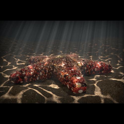 Starfish with volumetric fog and fake caustics