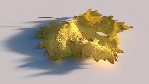 High Poly Autumn Leaf