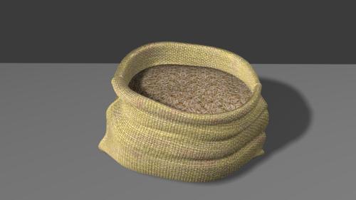 Sack of rice