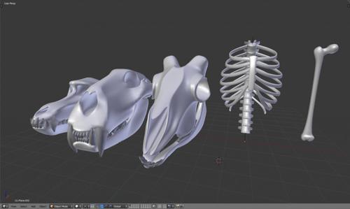 Skulls and Bones
