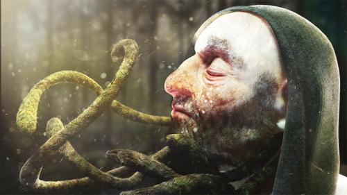 Forest Spirit