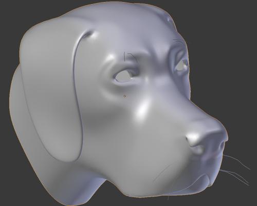 Dog Head