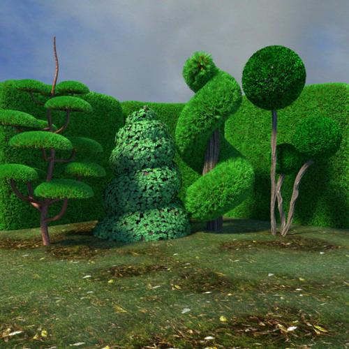 Library of plants Part 2 - bushes