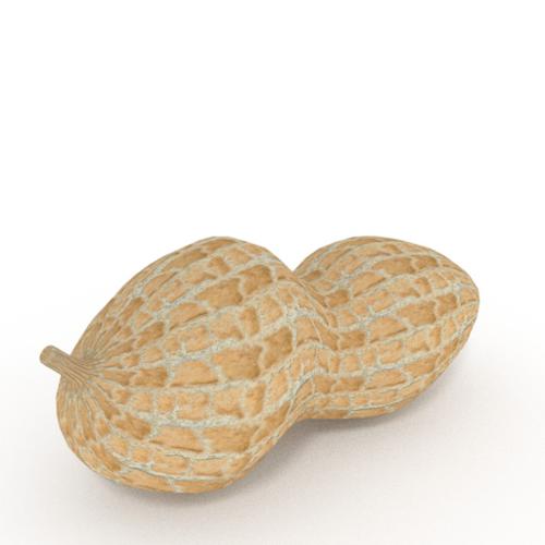 Peanut