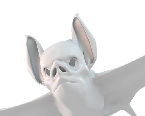 Bat