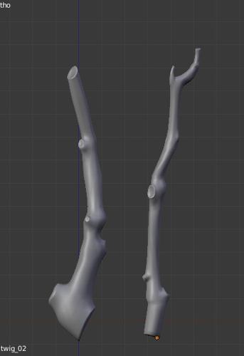 twigs